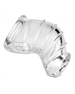 Detained Soft Body Chastity Cage
