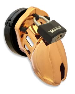 CB-6000S Gold Chastity Cage