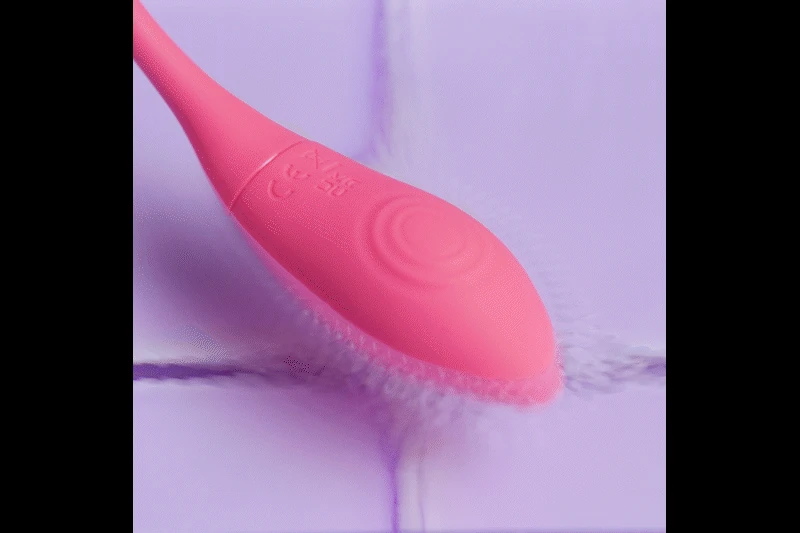 EasyConnect - Vibrating Egg Aria app-controlled