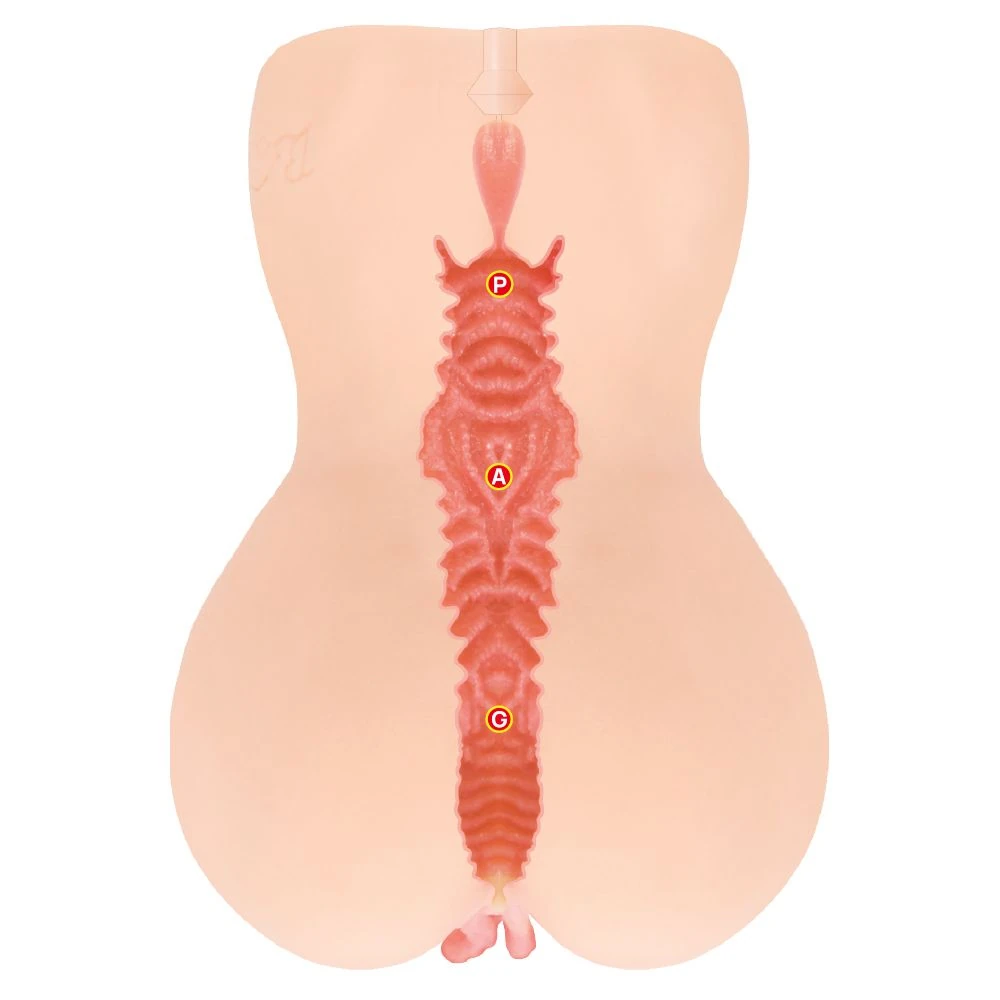Kokos - Onahole Edition 001 Double Layer XL Masturbator