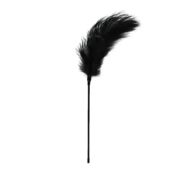 Toys Fetish - Black Feather Tickler