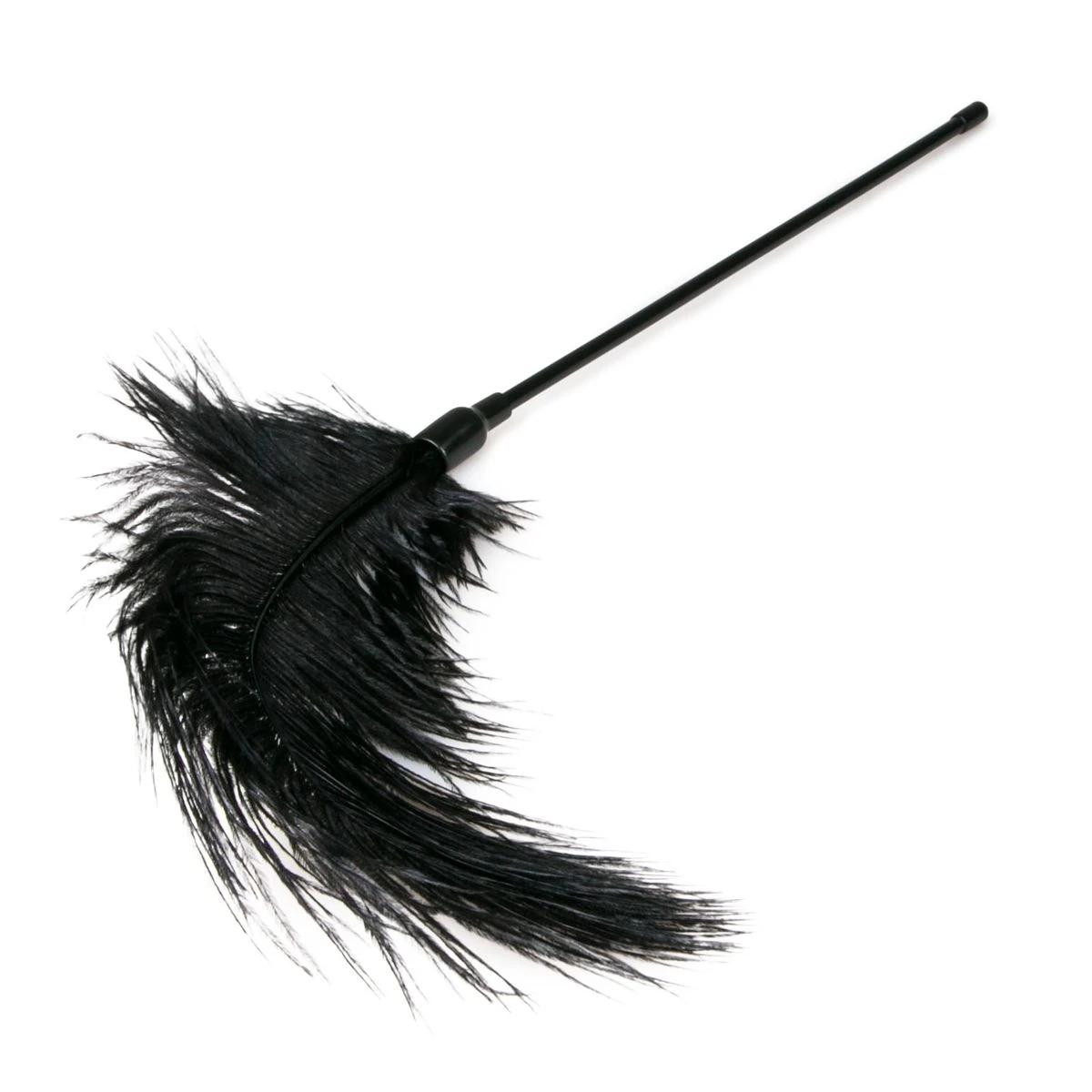 Toys Fetish - Black Feather Tickler