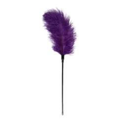 Toys Fetish - Purple Feather Tickler