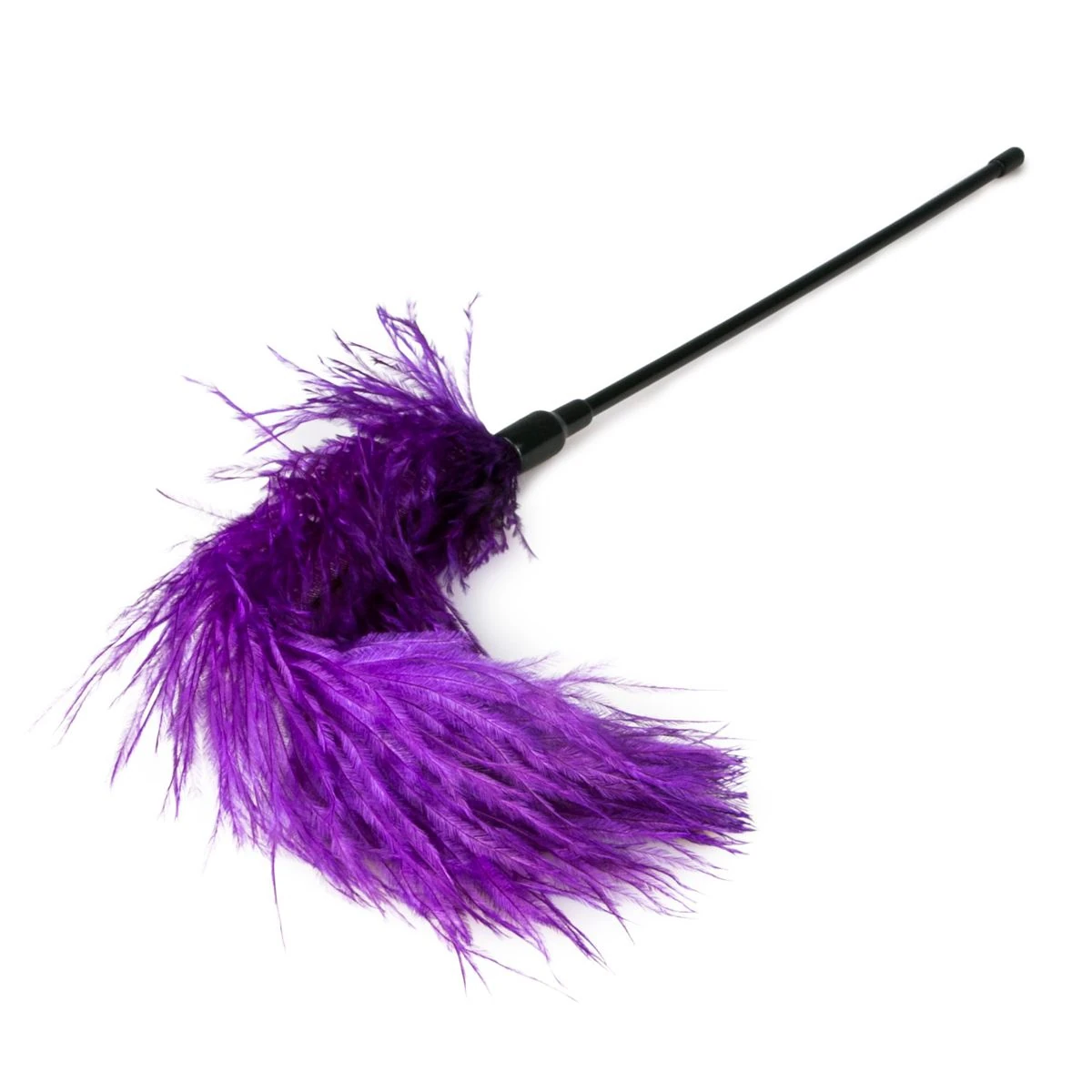 Toys Fetish - Purple Feather Tickler