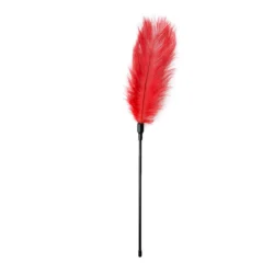 Toys Fetish - Red Feather Tickler