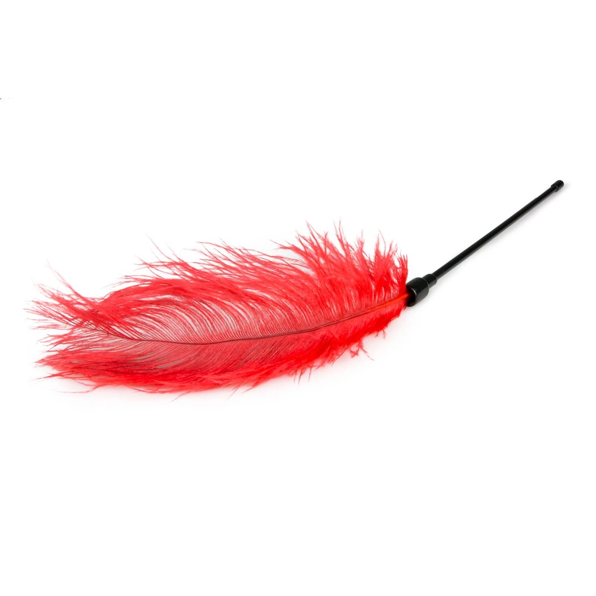 Toys Fetish - Red Feather Tickler